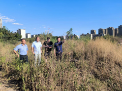 <b>投资集团多举措抓实抓细防疫防火防旱工作</b>